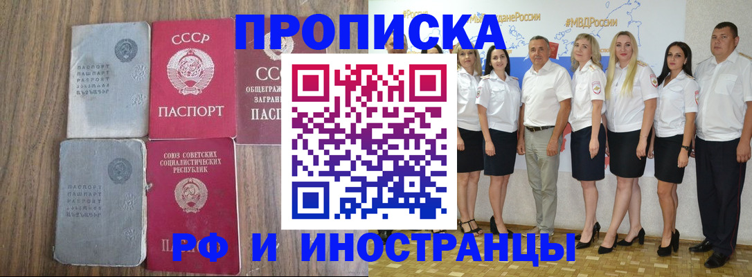 временная регистрация поиск в Светогорске